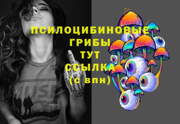 mdma Медвежьегорск