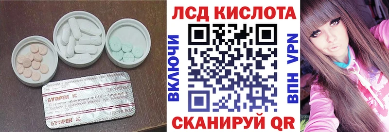 Купить закладки  Княгинино  Лсд 25 экстази ecstasy 