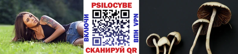Купить закладки  Княгинино  Псилоцибиновые грибы Psilocybine cubensis 