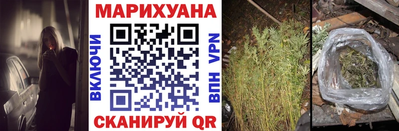Купить  Княгинино  Каннабис сатива 